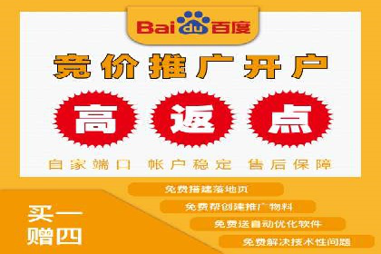 百度推广与SEO结合案例：提升网站排名的技巧
